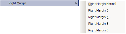 Image shows the "Right Margin" drop down list.