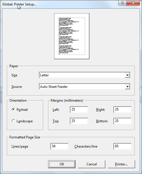 Image shows the Printer Setup dialog.