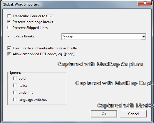 Image shows the Global: Word Importer dialog.