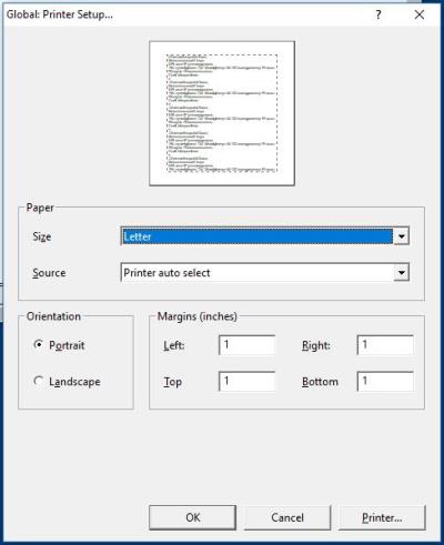 Image shows the Printer Setup dialog.