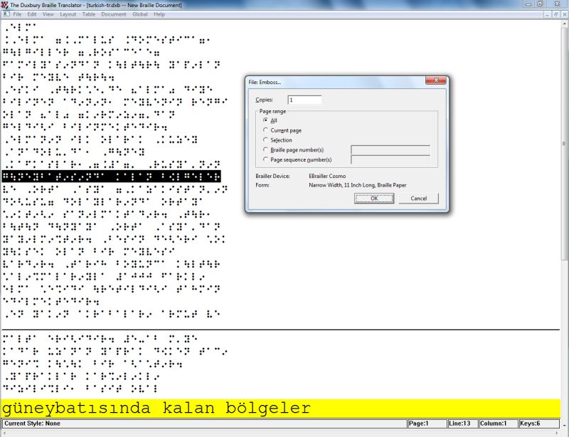 screen shot of D B T (in the Turkish language)