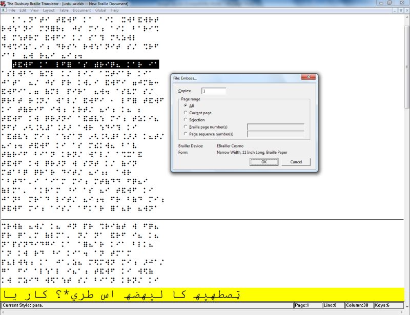 screen shot of D B T (in the Urdu language)